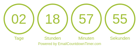Timer from emailcountdowntimer.com