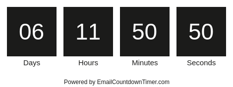 Timer from emailcountdowntimer.com