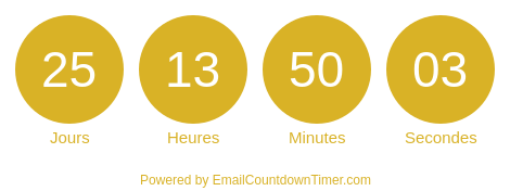 Timer from emailcountdowntimer.com