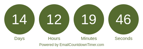 Timer from emailcountdowntimer.com