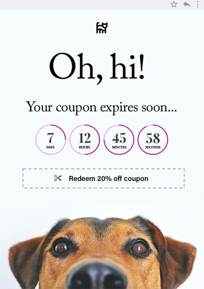Email Countdown with Coupon Expiration